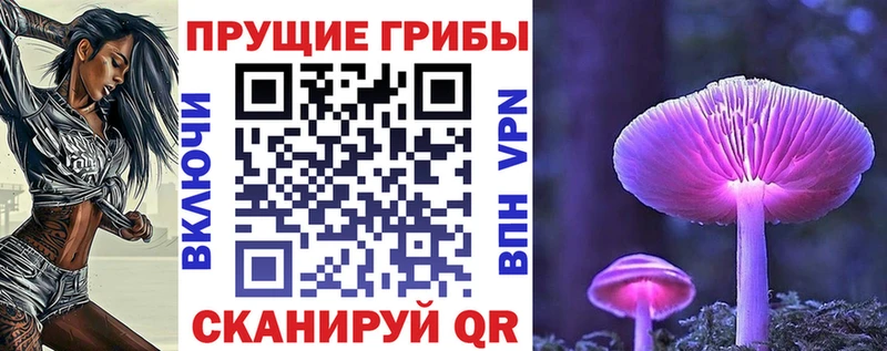 кракен ссылки  Барабинск  Псилоцибиновые грибы прущие грибы 